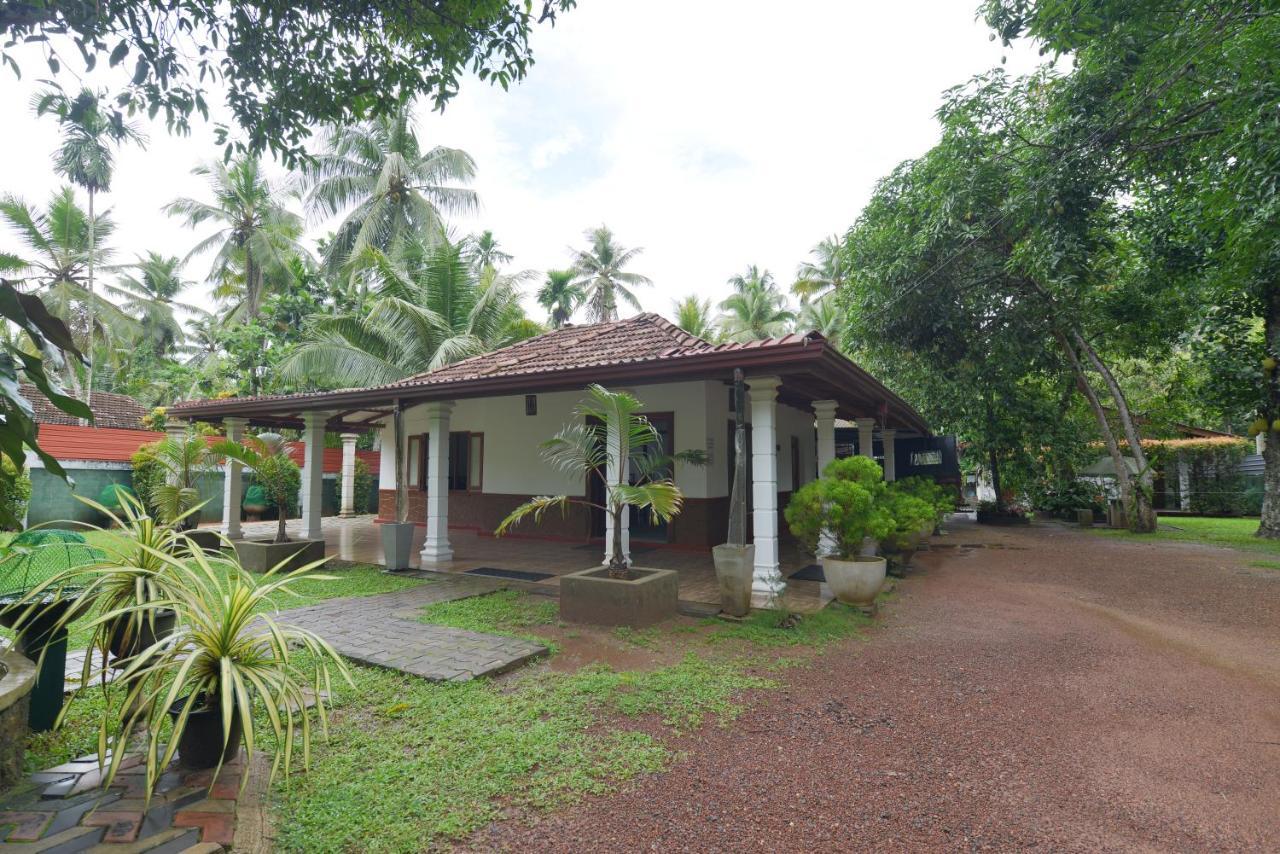 Venus Resorts Danwilana Exterior foto